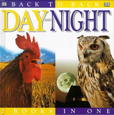 Day and Night