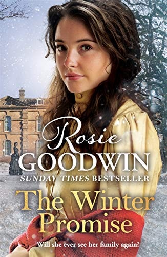The Winter Promise (Precious Stones)