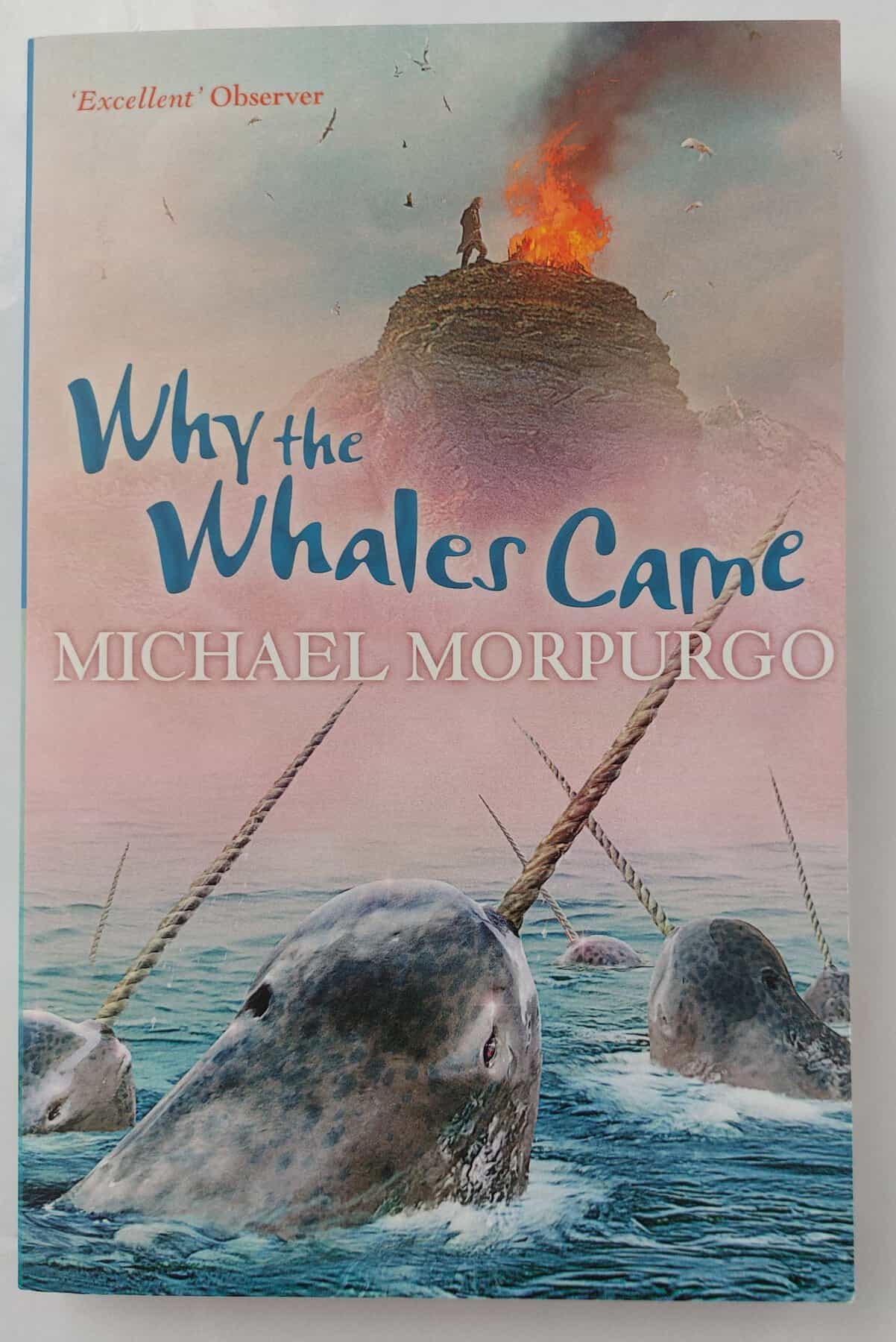 Why The Whales Came