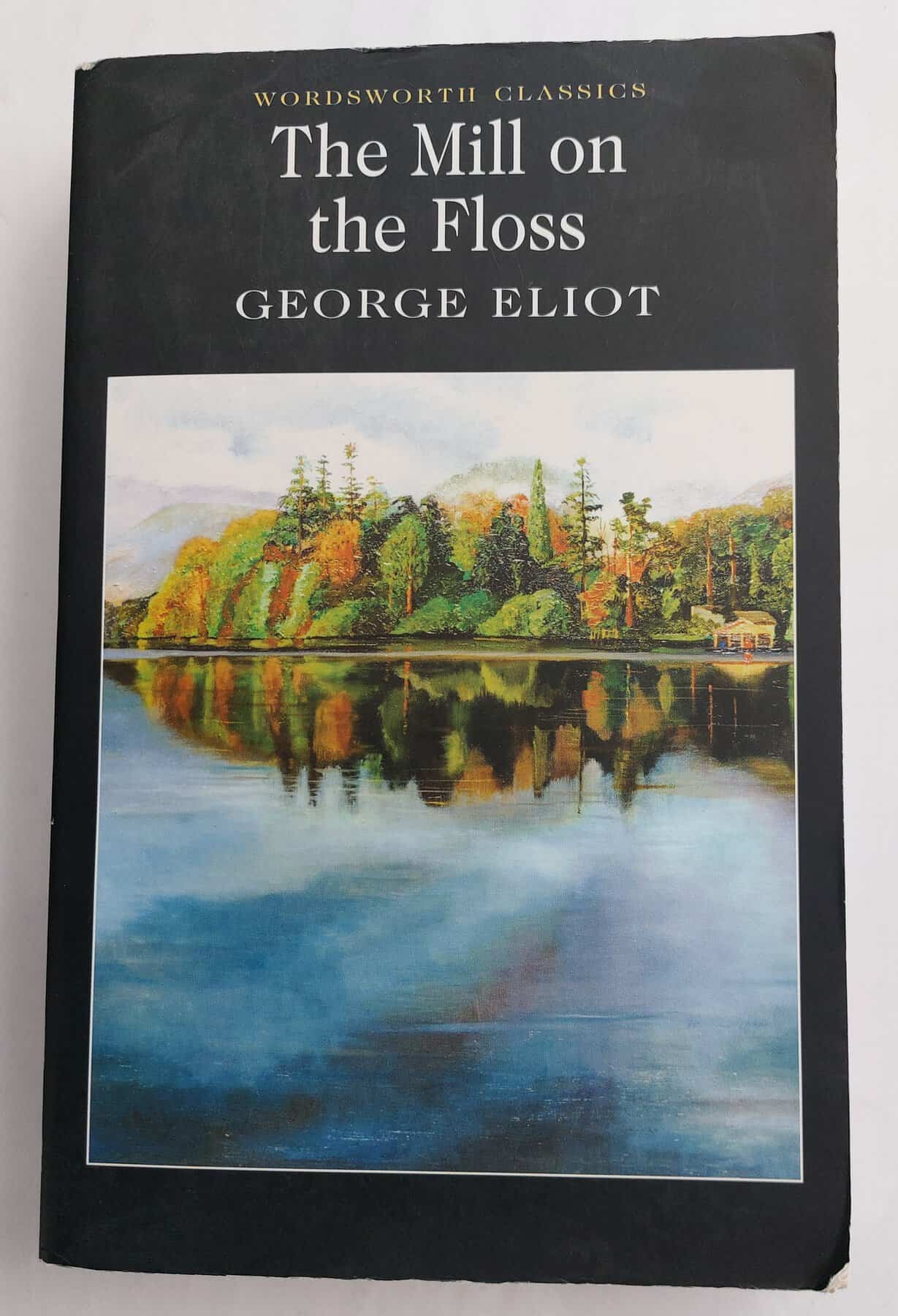 The Mill on the Floss