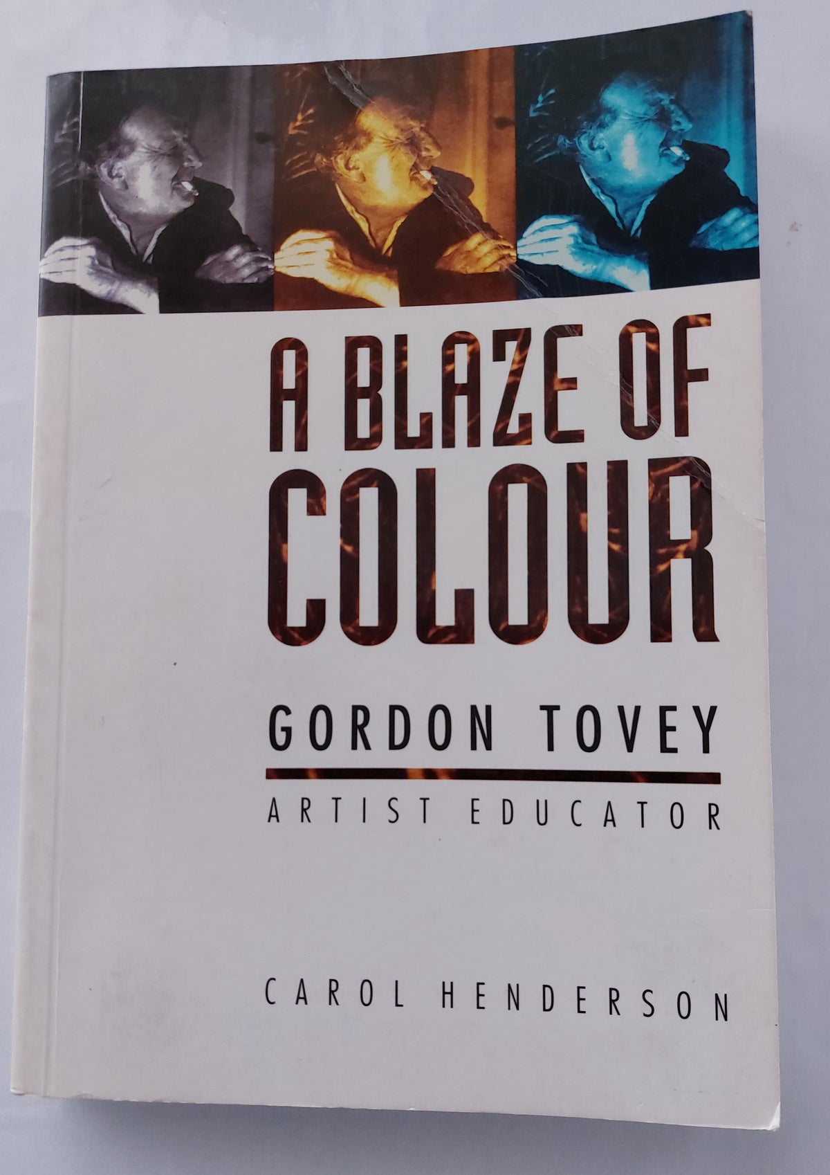 A Blaze of Colour Gordon Tovey, Artist Educator