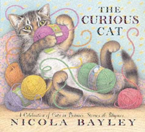 The Curious Cat