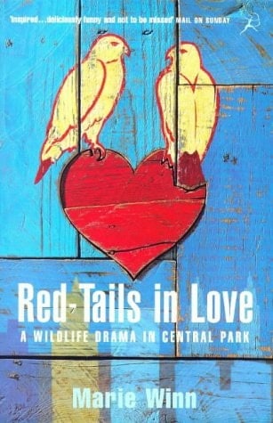 Red-tails in Love A Wildlife Drama in Central Park