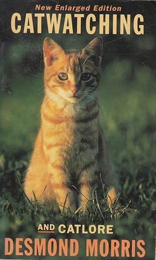 Catwatching And Catlore