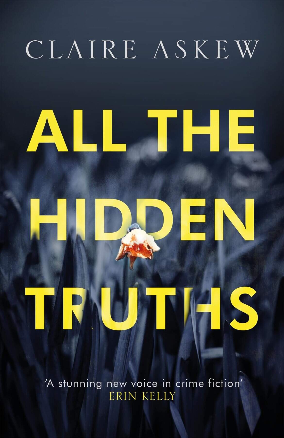 All The Hidden Truths EXPORT